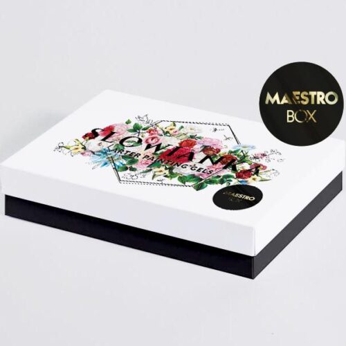 Arter Paint Box Maestro