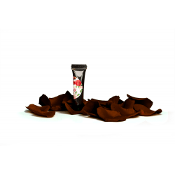 Arter Paint Brown 5G