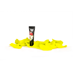 Arter Paint Neon Yellow 5G