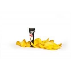 Arter Paint Yellow 5G