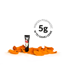 Arter Pumpkin Orange 5g