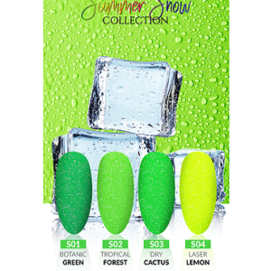 Dry Cactus S03 - Bilde 4