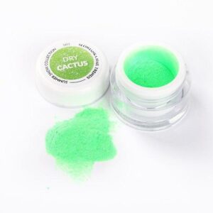 Dry Cactus S03 - Bilde 3