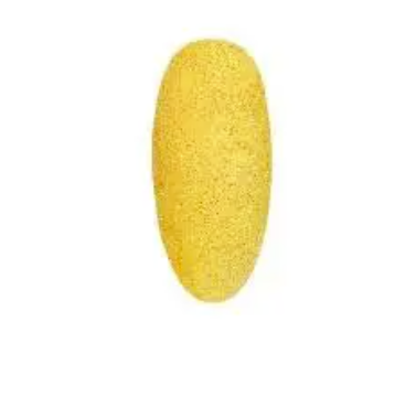 Sponge Sunny Sand