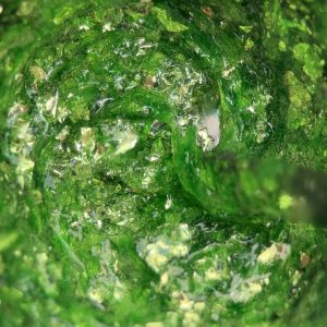 Green Flakes 0,5g - Bilde 3