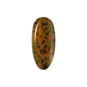 501 Wild Tiger - Bilde 2