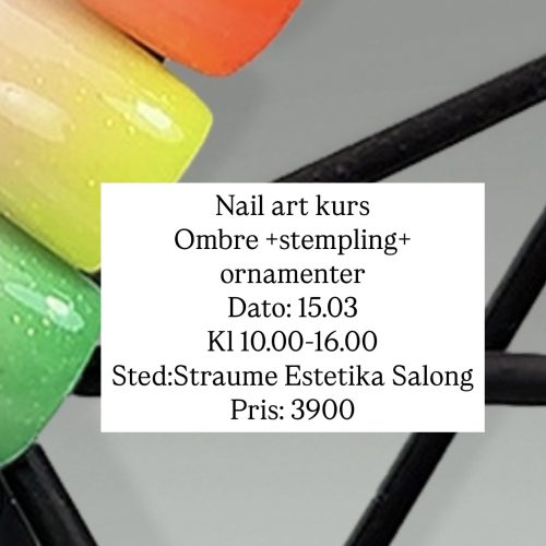 Nail Art kurs Ombre +stempling +ornamenter 15.03.2025