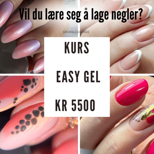 Endags Kurs Easy Gel 22.03